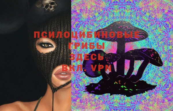 меф Алексин